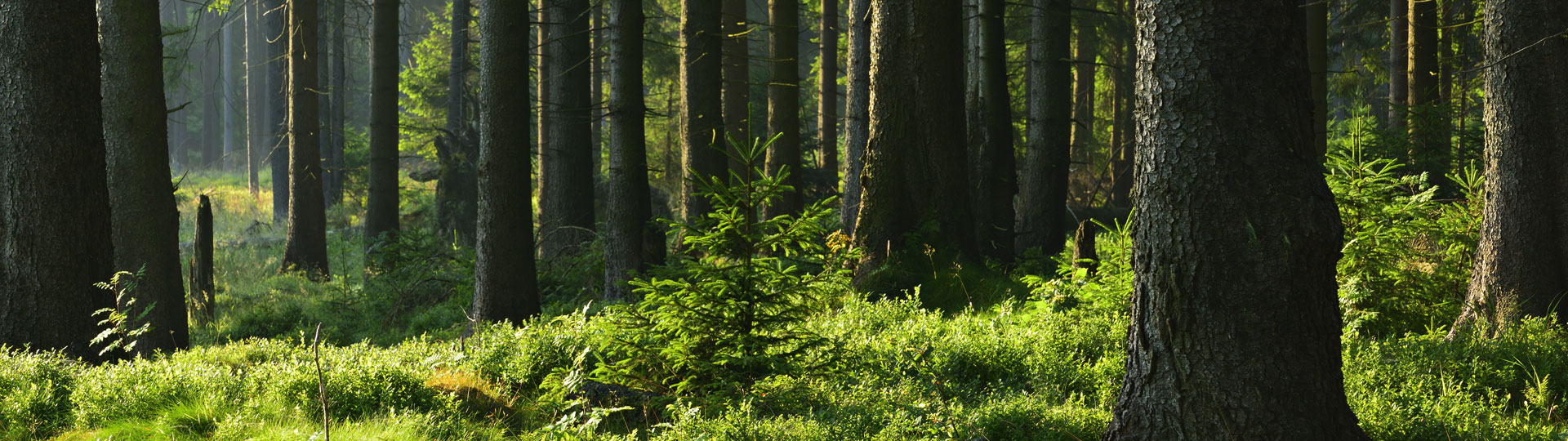 Park Hoge Veluwe