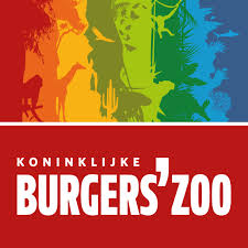 Burgers' Light! Burgers' Light!